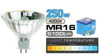 Lámpara halógena 250W. MR16