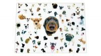 Película em vinil adesivo para portáteis 10-17" Little Dogs
