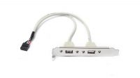 Suporte USB duplo 2.0 IDC 10P 25cm