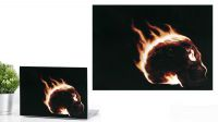 Película anti-risco para portáteis 12-17" Caveira